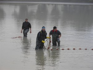 63863144008242015_abfischen_gweiher90c05.jpg